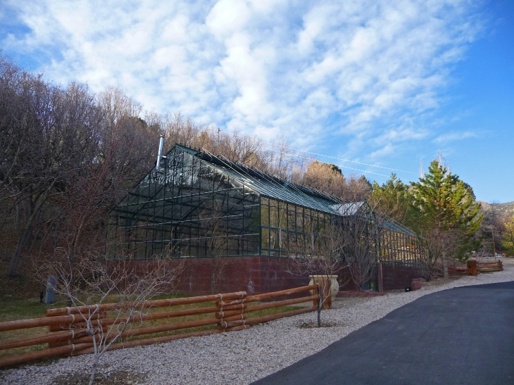 Torino Ranch greenhouse