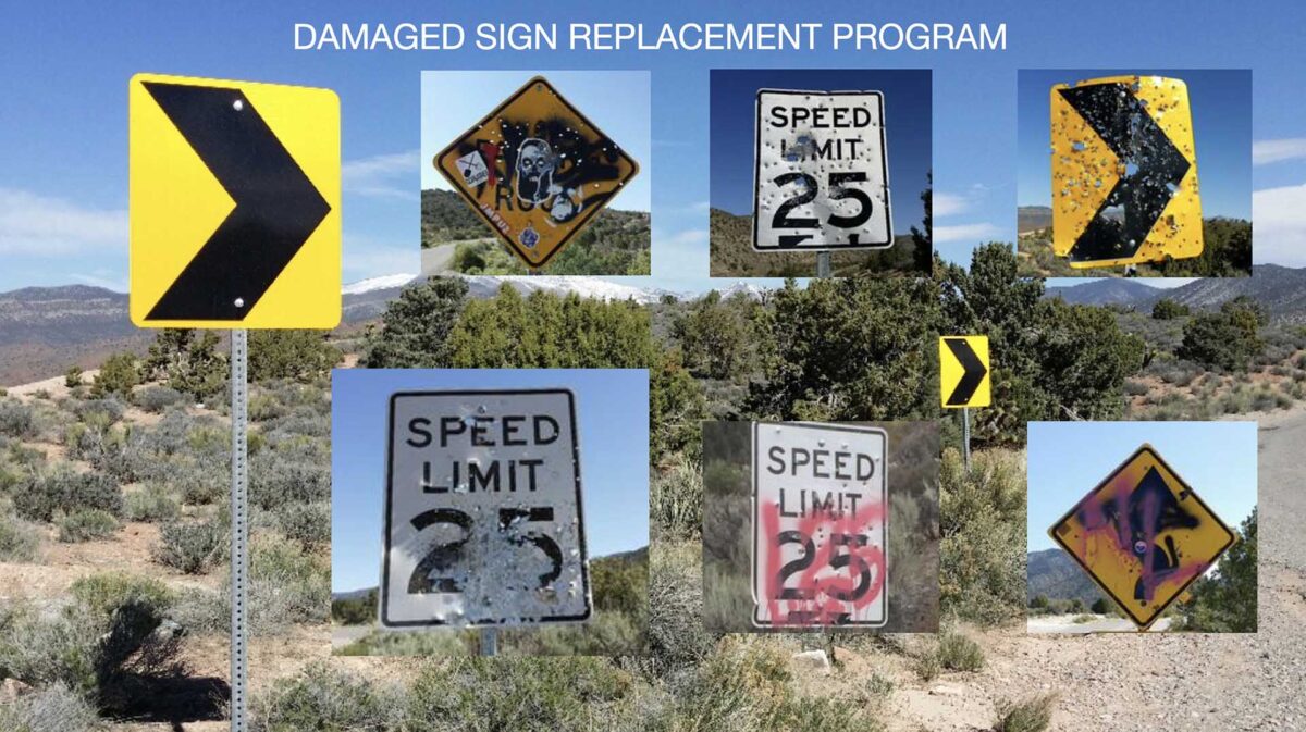 Brett Torino Foundation Conservation efforts